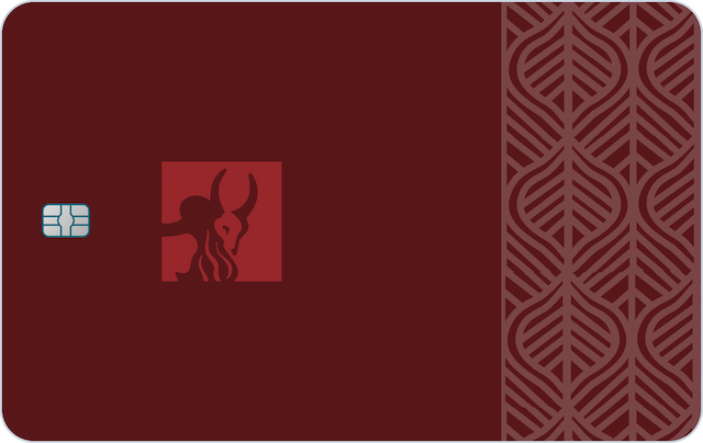 IndusInd Platinum (Visa) credit card credit card