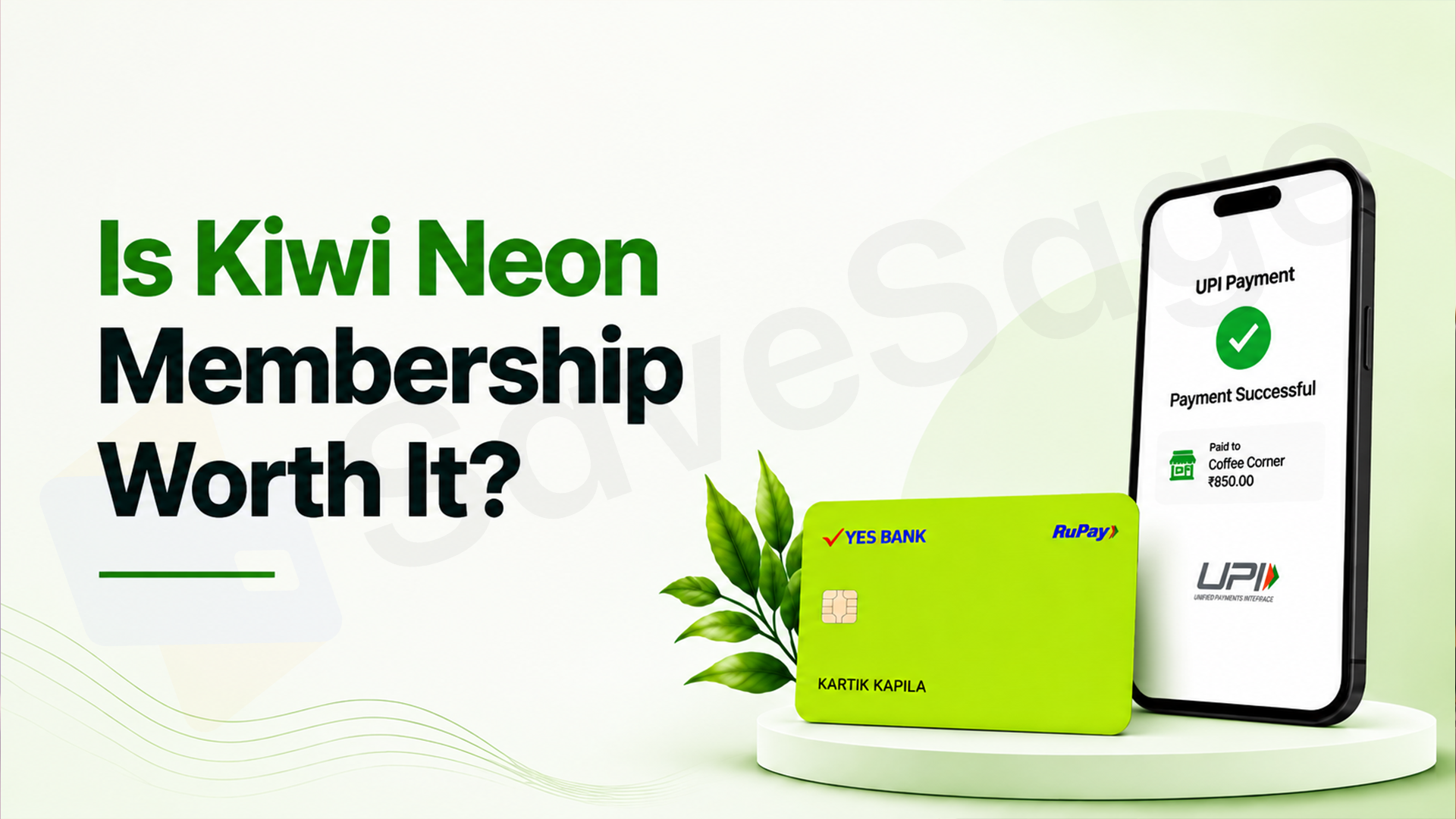 Is Kiwi Neon Membership Worth It?